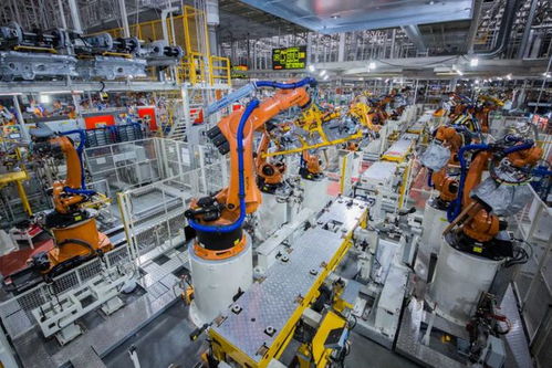 市政府常务会议 全力配合中央生态环保督察 加速数字贷工程风险补偿资金发放